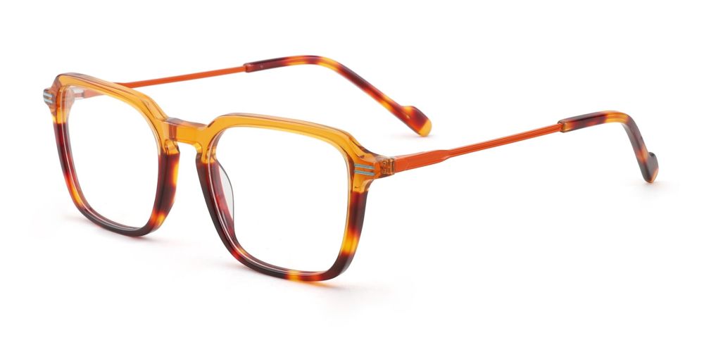 Bellevue Prescription Glasses Tortoise - Spring HInge